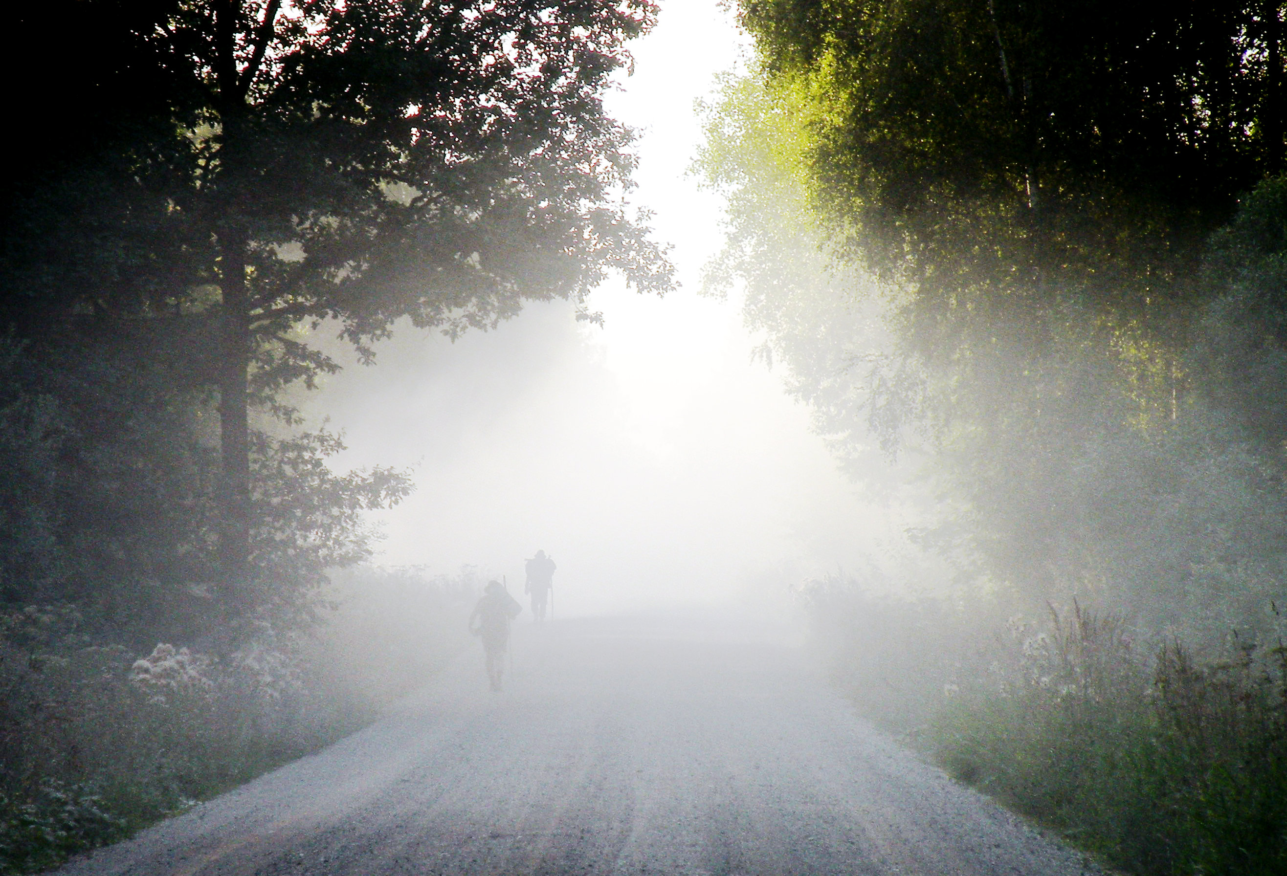 The Edge of the Wild (c) Lithuanian Tolkien Society