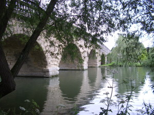 A bridge in Oxfordshire. (c) Marcel Aubron-Bülles