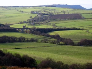 Distant view of Edlingham by Andrew Curtis