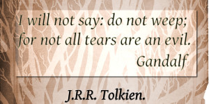 Tolkien quote: For not all tears are an evil