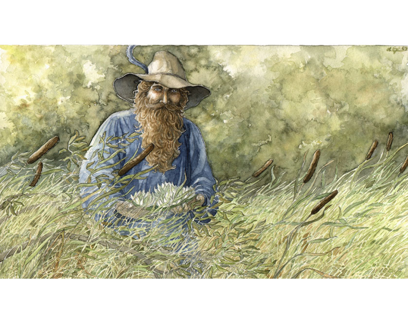 Tom Bombadil (c) by Anke Eissmann