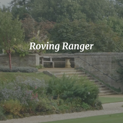 Roving Ranger logo (c) Marcel R. Bülles