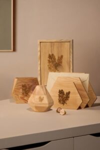 The Black Pine Collection (c) Oxford Botanic Garden & Arboretum